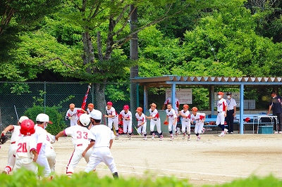 岡崎葵 少年野球20220619-000